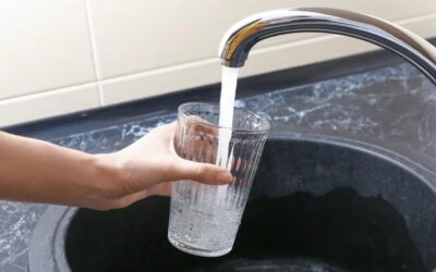 How ‘Perfectly Safe’ Is Sydney Tap Water?