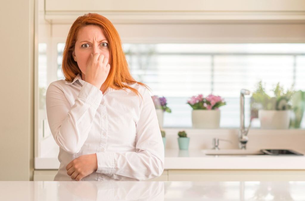 Easy Ways To Stop Smelly Drains Fast