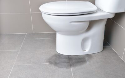 You’re 6 Steps Away From Fixing A Leaking Toilet Cistern