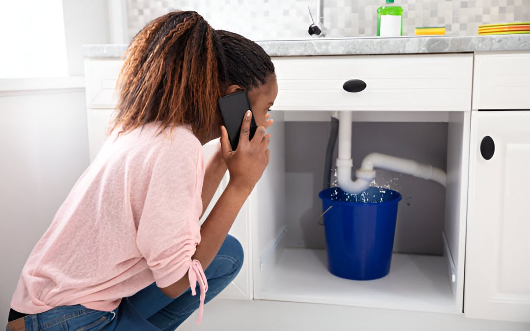 Common Plumbing Problems in Sydney Homes